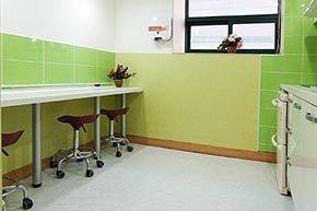 �ü�����