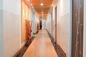 �ü�����