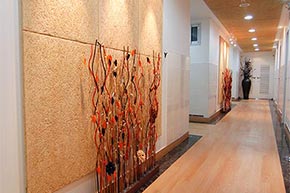 �ü�����