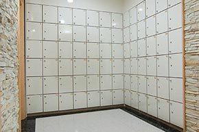 �ü�����